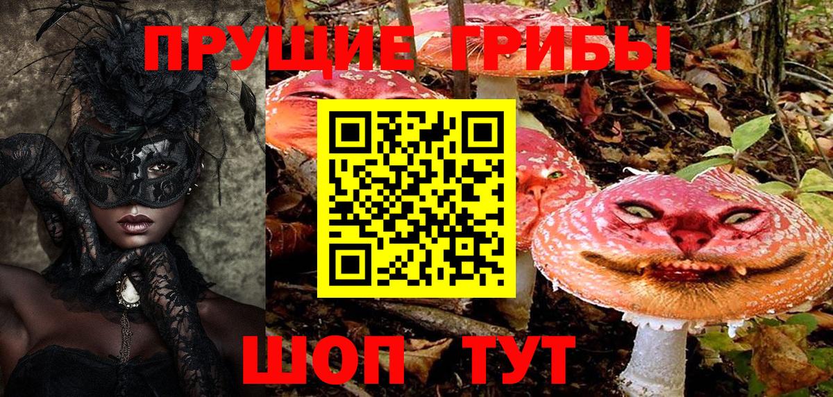 Татарск  закладки  Галлюциногенные грибы Magic Shrooms  Вход с VPN  Галлюциногенные грибы MAGIC MUSHROOMS 