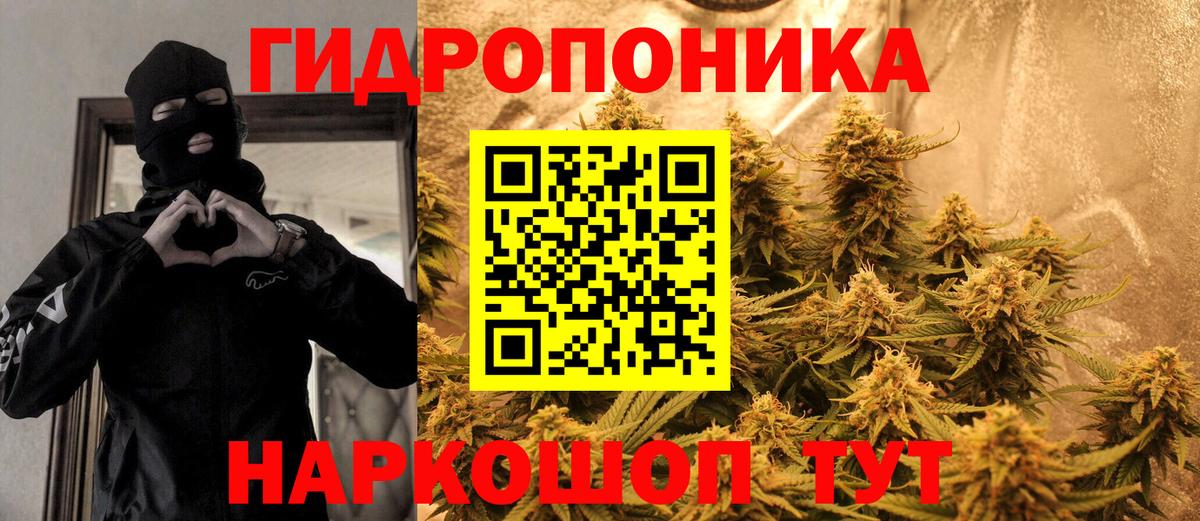 Каннабис семена Татарск